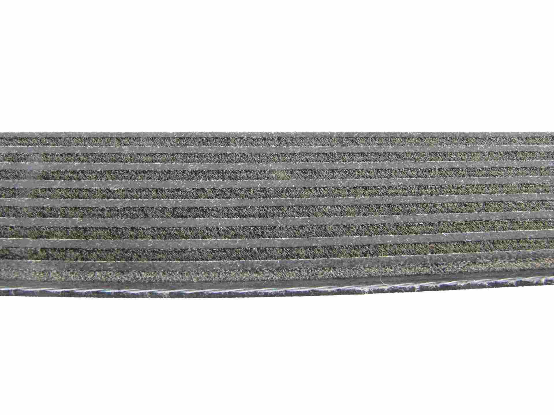 continental serpentine belt  frsport 8dk1833