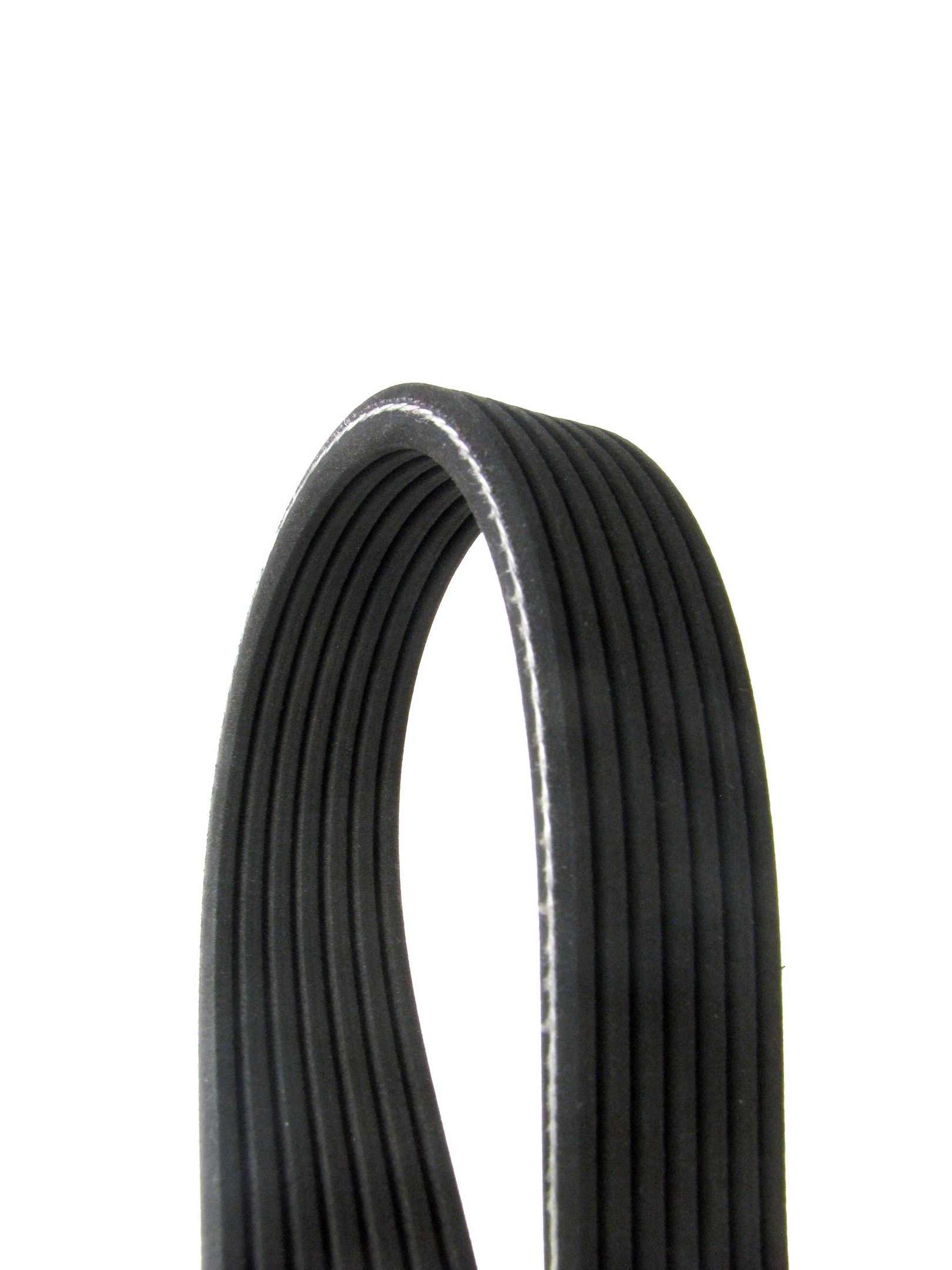 Continental Serpentine Belt  top view frsport D4070535