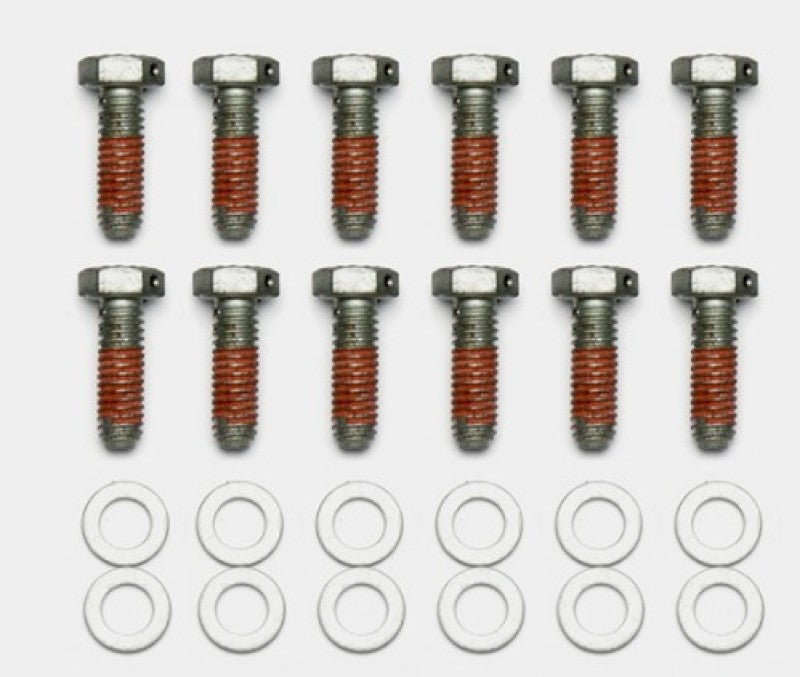 Wilwood Bolt Kit - 5/16-18 x 1.00 LG - 12 pk 230-14086