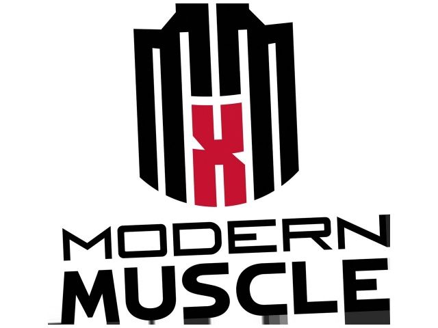 Mr Gasket Engine Cylinder Head Gasket