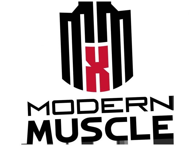 Mr Gasket Engine Cylinder Head Gasket