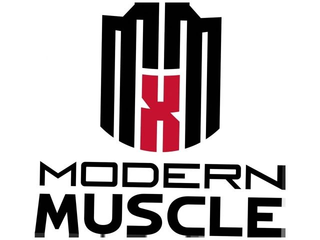 Mr Gasket Engine Cylinder Head Gasket