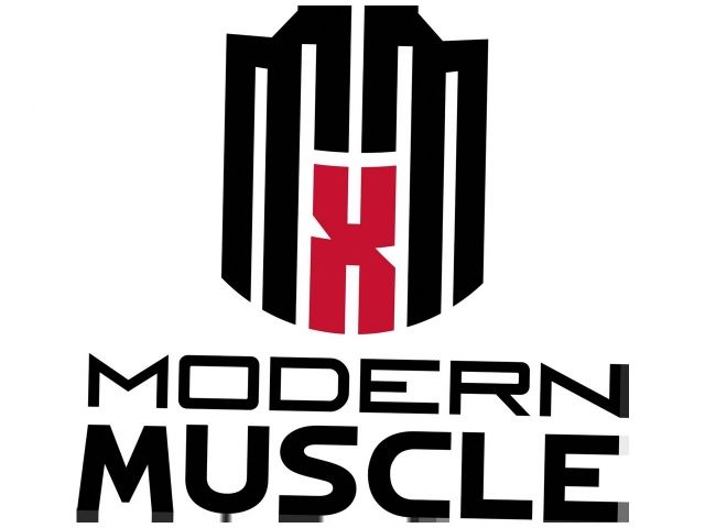 Mr Gasket Engine Cylinder Head Gasket