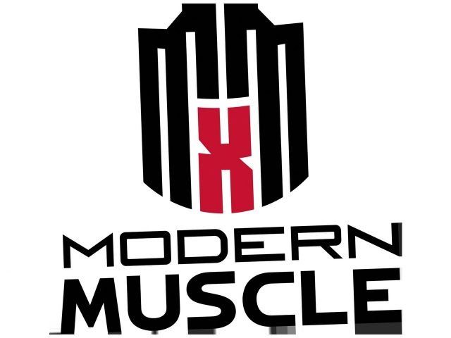 Mr Gasket Engine Cylinder Head Gasket