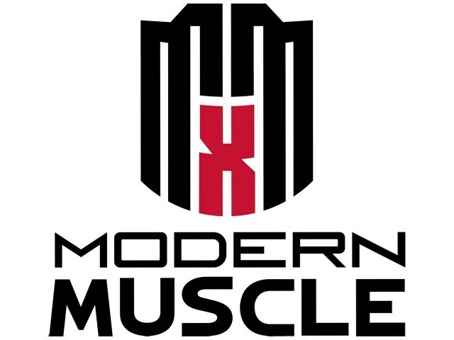 Mr Gasket Engine Cylinder Head Gasket