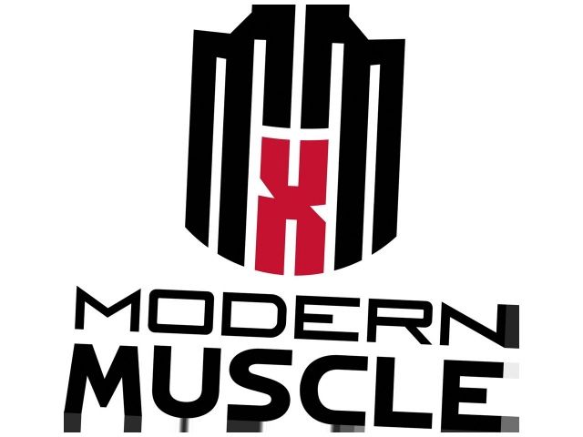 Mr Gasket Engine Oil Dipstick