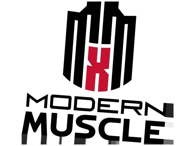 Mr Gasket Exhaust Manifold Gasket Set