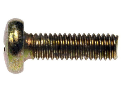 Dorman - Autograde Screw M6-1.0 x 20mm for License Plate Fasteners 784-518