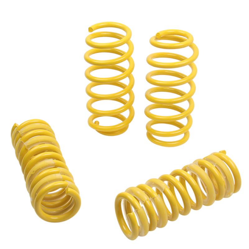 ST Sport-tech Lowering Springs Chrysler 300C 2WD / Dodge Charger Magnum 65503 Main Image