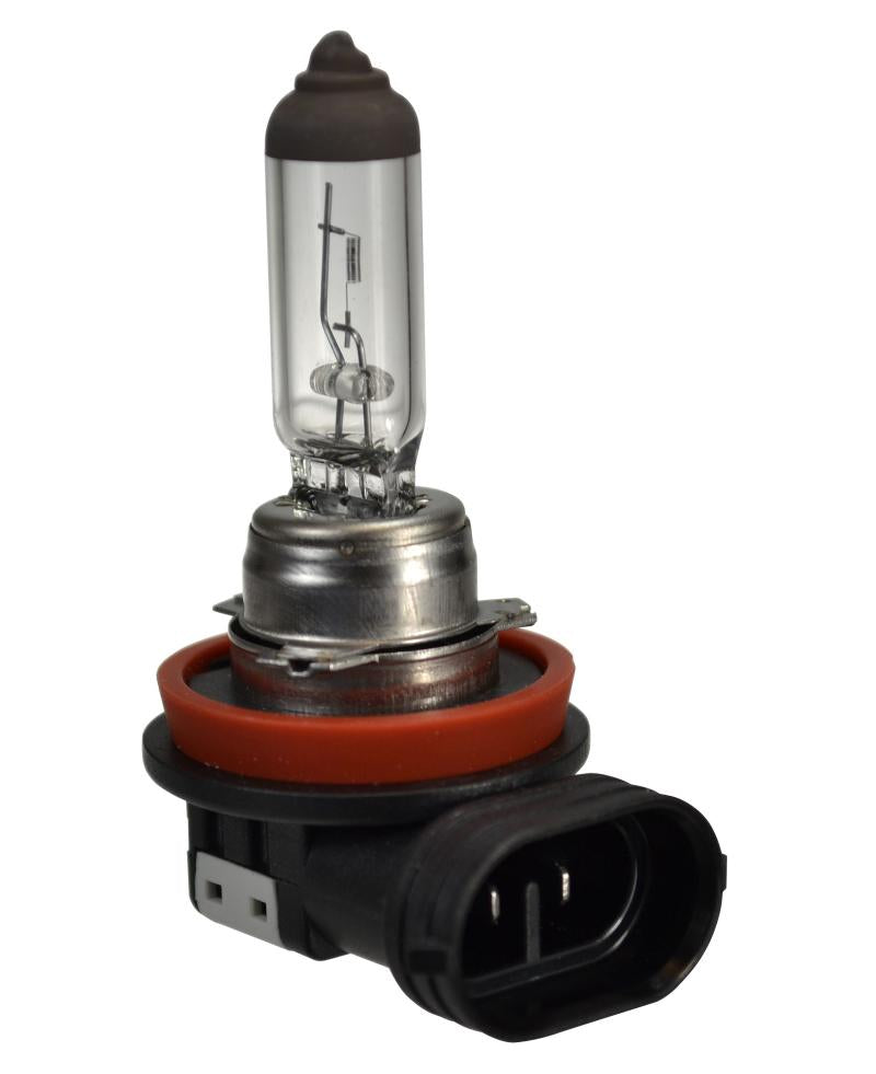 Hella H16 Halogen Bulb 186996013 Main Image