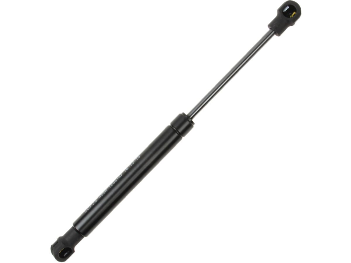 Lesjofors Hood Dampers 8095802 Item Image