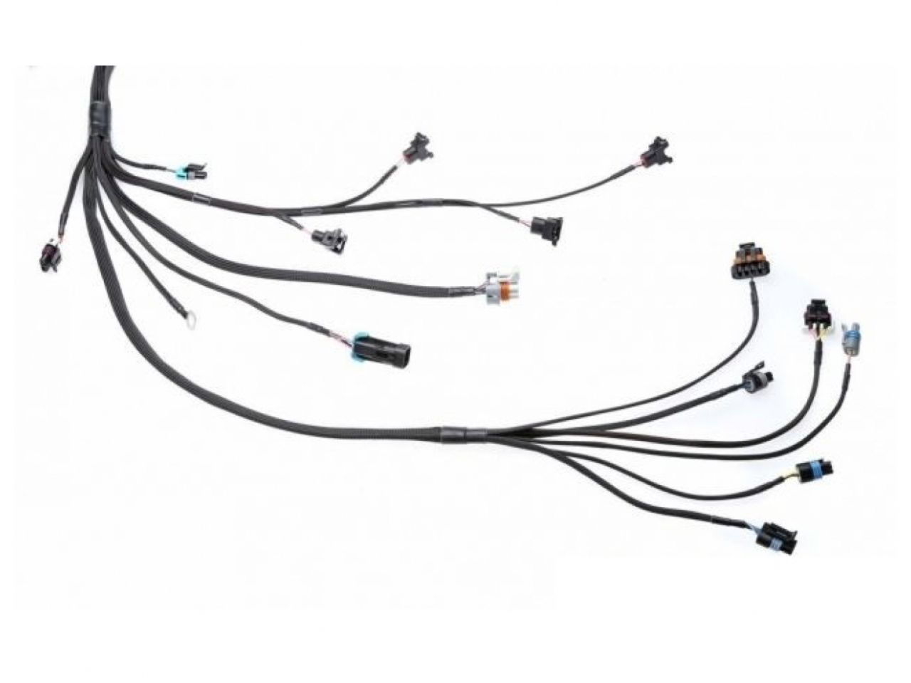 Wiring Specialties LS1 Wiring Harness for Datsun 260Z - PRO SERIES