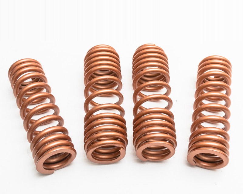 VR Performance VRP Springs Suspension Lowering Springs main image