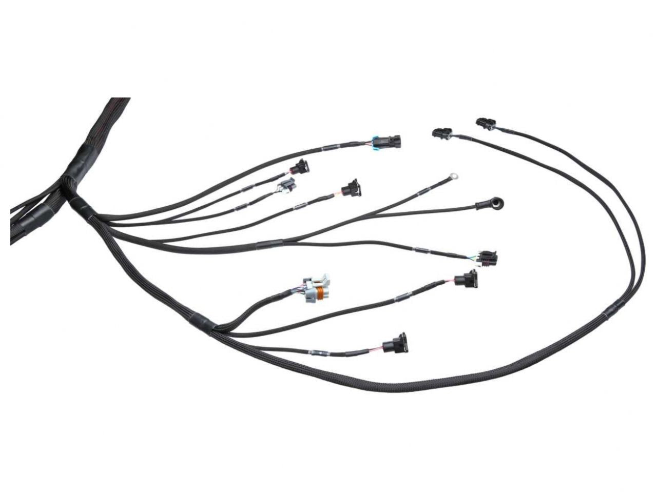 Wiring Specialties LS1 / Vortec Wiring Harness for Datsun - PRO SERIES