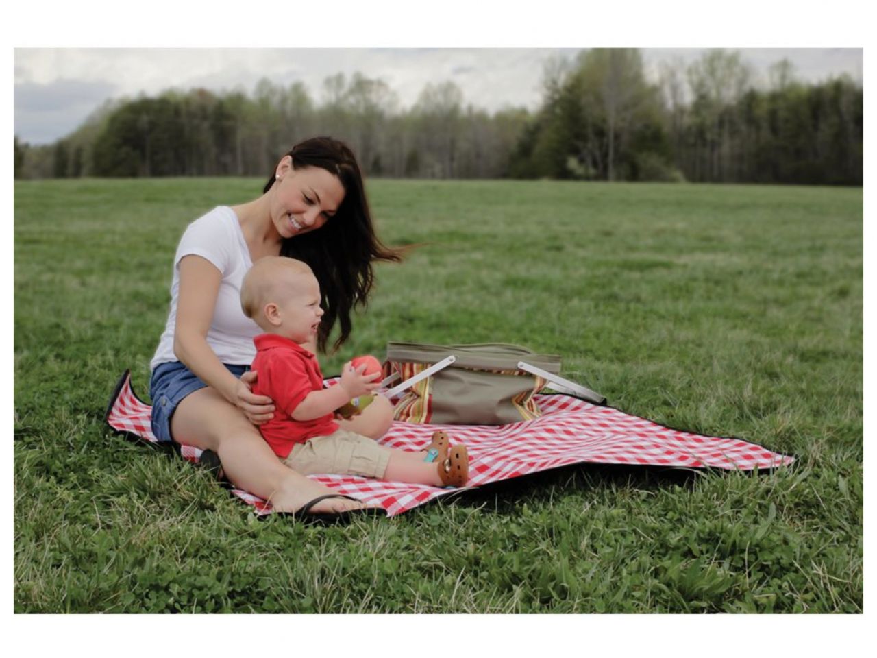 Camco Picnic Blanket - Red and White Checkered, 51" x 59" Bilingual