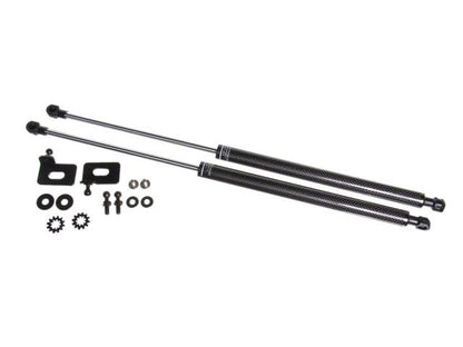 P2M Hood Dampers P2-CHDTYAE86-TP Item Image