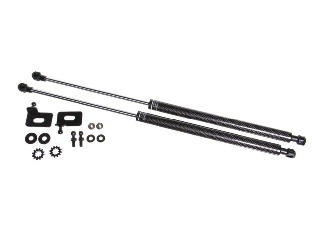 P2M Hood Dampers P2-CHDTYAE86-TP Item Image