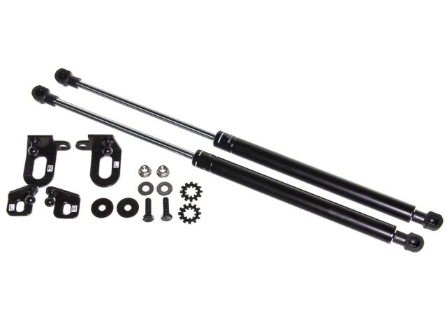 P2M Hood Dampers P2-BHDXL30-TP Item Image