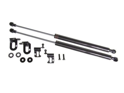P2M Hood Dampers P2-CHDZVW30-TP Item Image