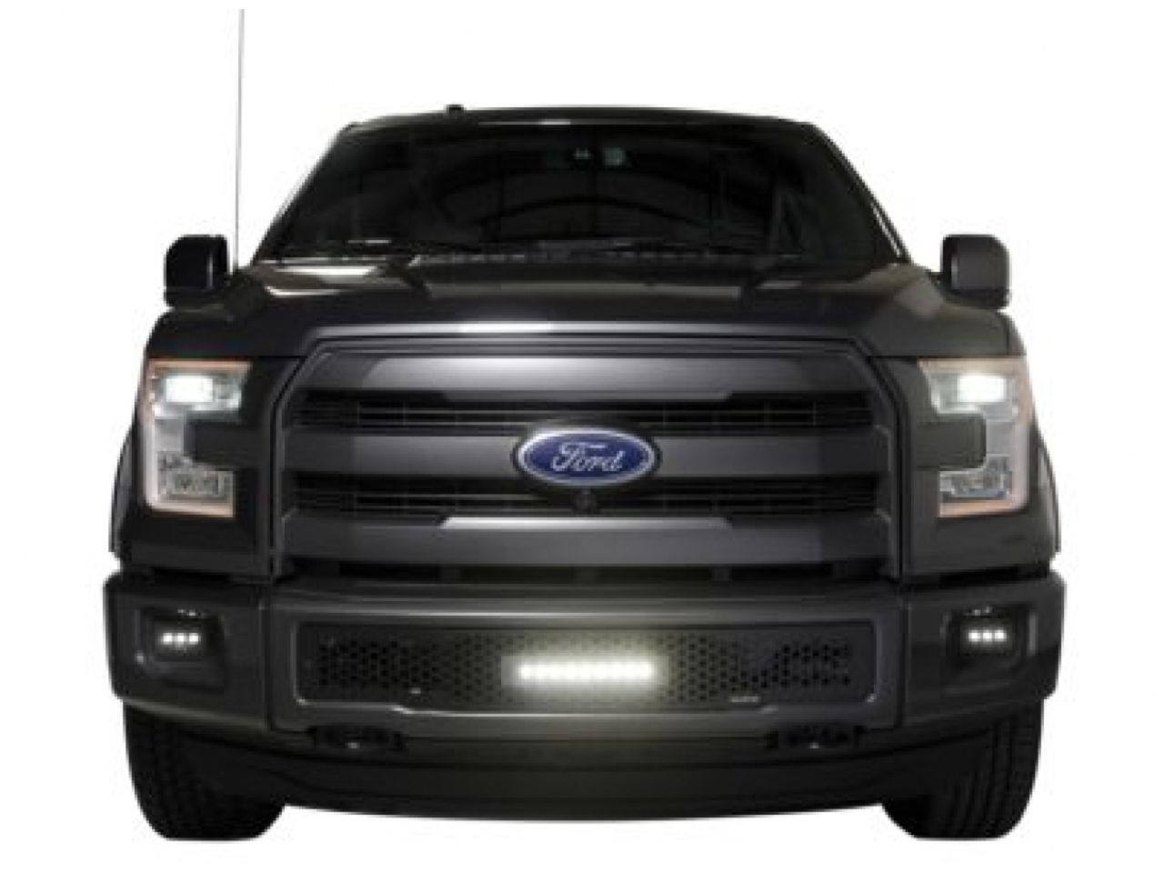 Putco 2015-2017, Ford F150 - Stainless Steel Black Punch Design w/ 10"