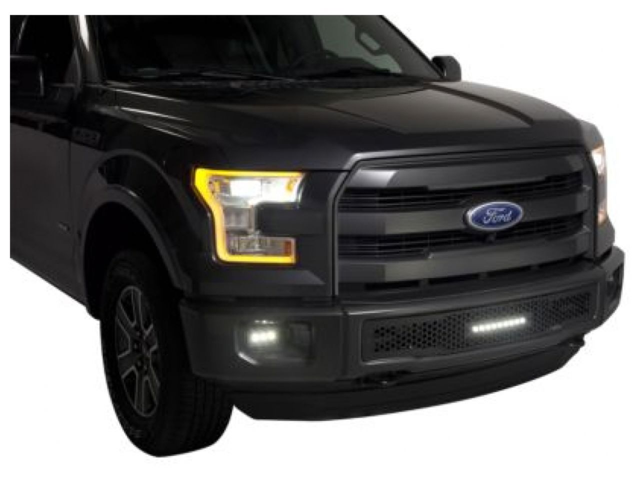 Putco 2015-2017, Ford F150 - Stainless Steel Black Punch Design w/ 10"