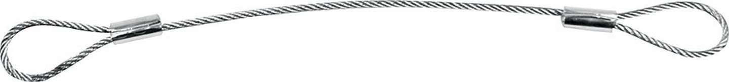 Allstar Performance Lanyard 10in ALL18463