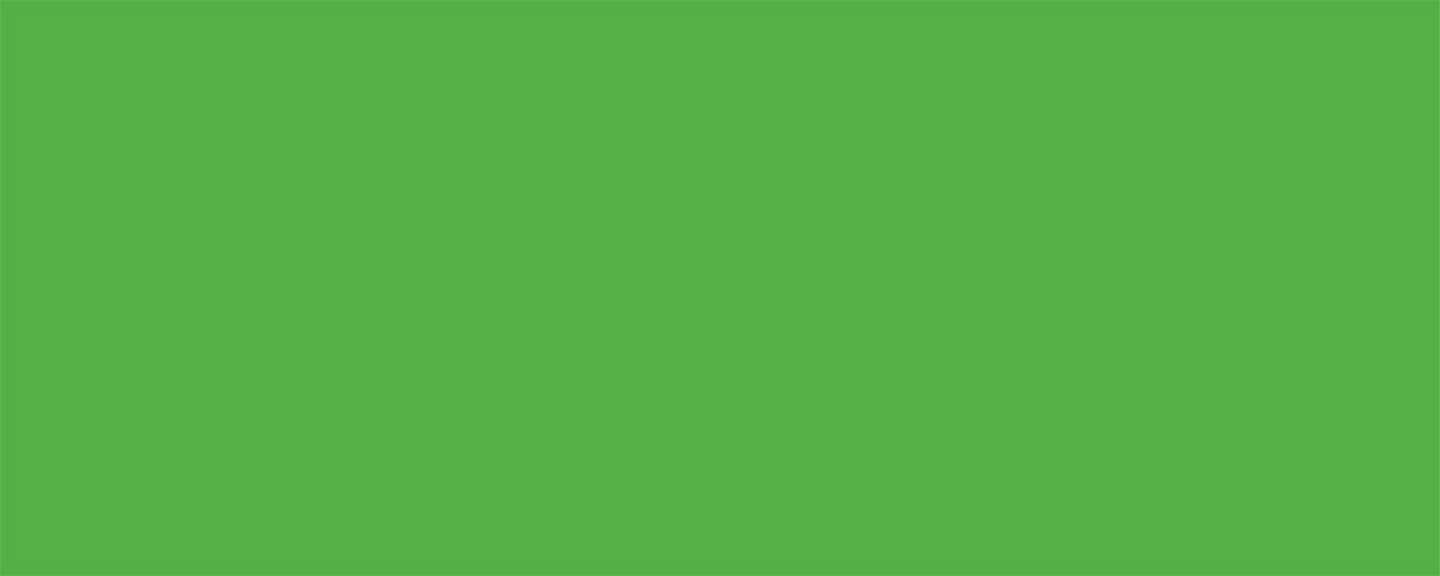 Allstar Performance Aluminum Xtreme Green 4x10 ALL22211