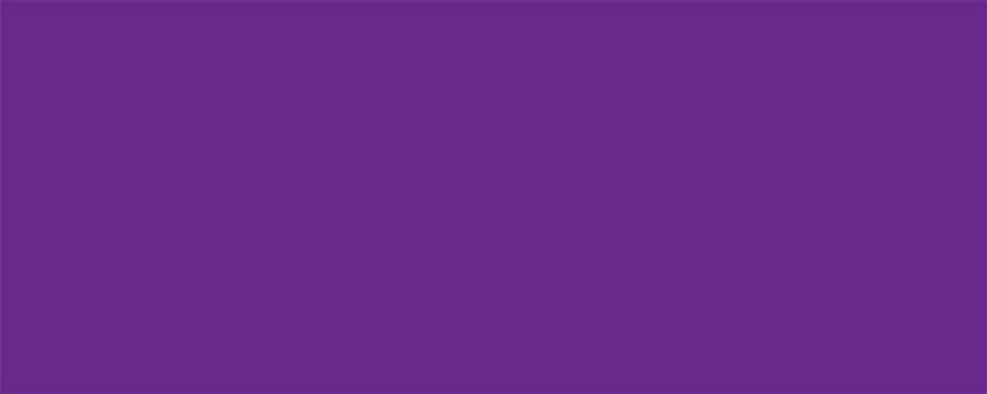 Allstar Performance Aluminum Xtreme Purple 4x10 ALL22217