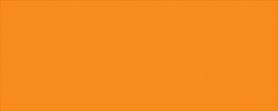 Allstar Performance Aluminum Vib Orange/Vib Orange 4x10 ALL22244