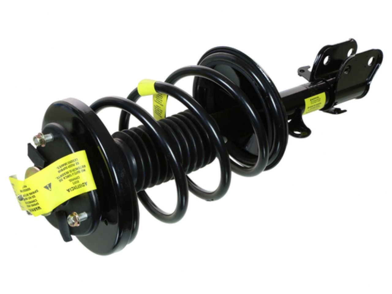 Moog Strut and Coil Spring Assembly