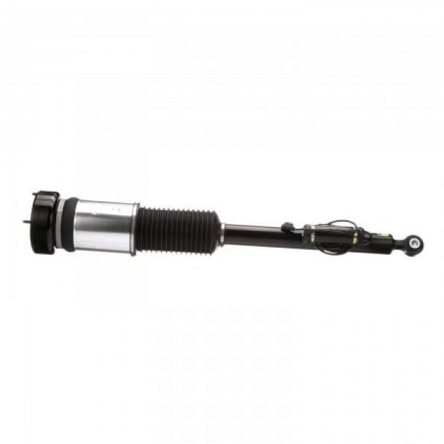 Arnott Industries Suspension Strut Assembly