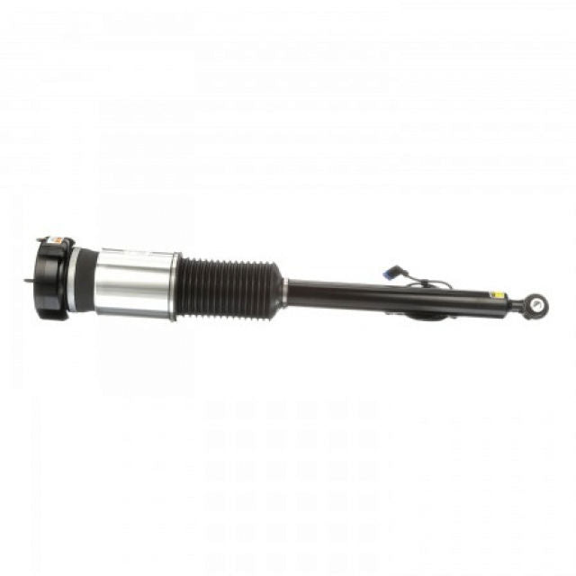 Arnott Industries Suspension Strut Assembly