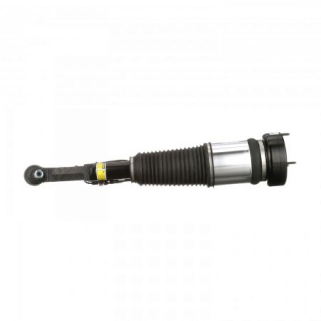 Arnott Industries Suspension Strut Assembly