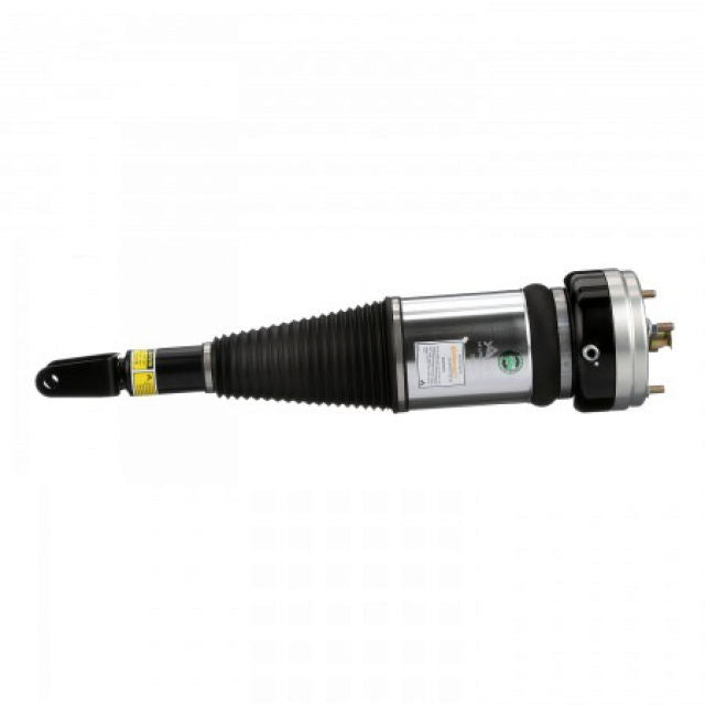 Arnott Industries Suspension Strut Assembly