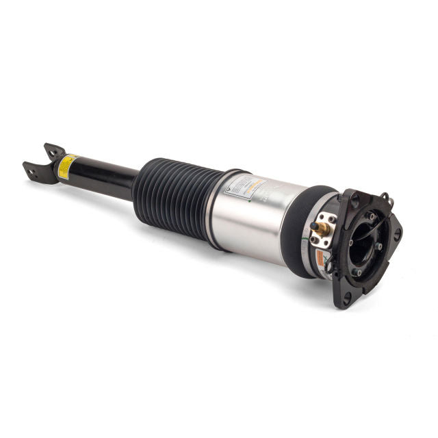 Arnott Industries Suspension Strut Assembly