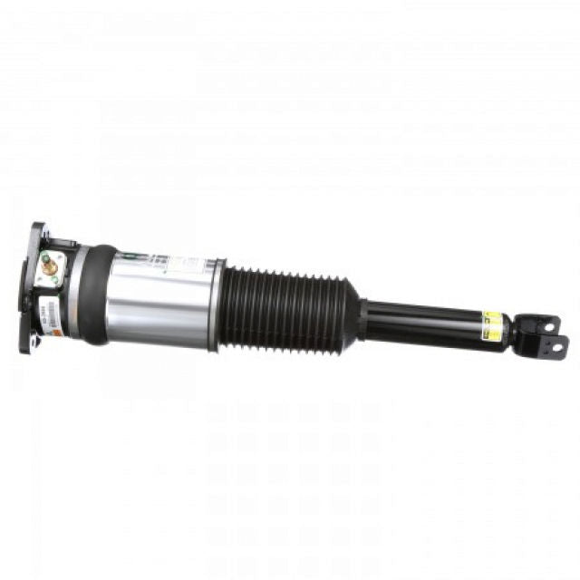 Arnott Industries Suspension Strut Assembly