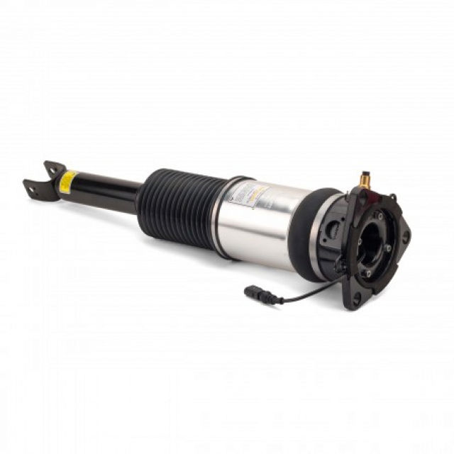 Arnott Industries Suspension Strut Assembly