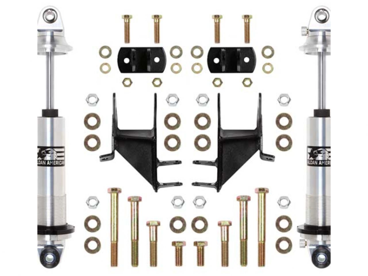 Aldan American Coilover Spring and Shock Assembly
