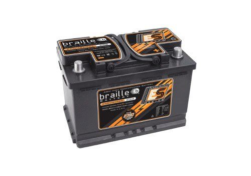 Braille Battery Batteries B7548 Item Image