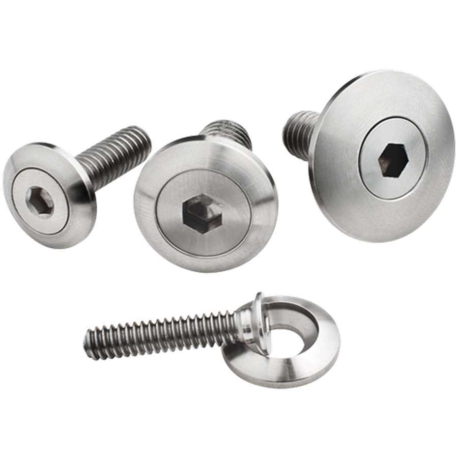 Billet Specialties 5/16-18 x 1in SS Bolts Pair BSP66110