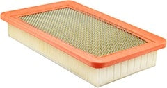 baldwin air filter  frsport pa10006