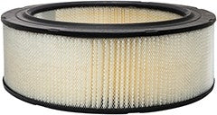 Baldwin Air Filter  top view frsport PA10112