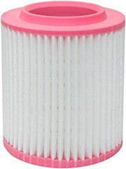 Baldwin Air Filter  top view frsport PA10119