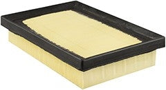 Baldwin Air Filter  top view frsport PA10275