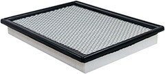 Baldwin Air Filter  top view frsport PA10330