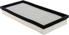 Baldwin Air Filter  top view frsport PA10358