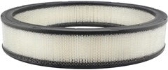 Baldwin Air Filter  top view frsport PA2024