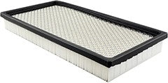 Baldwin Air Filter  top view frsport PA2163