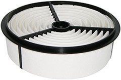 Baldwin Air Filter  top view frsport PA2171