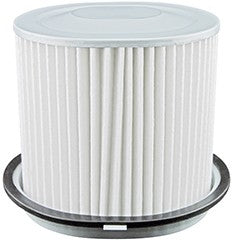 Baldwin Air Filter  top view frsport PA2194